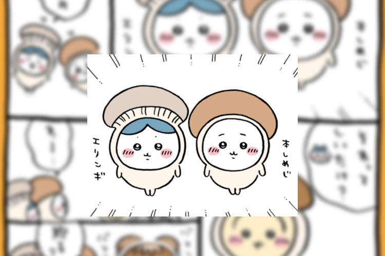 【2025年10月登場予定】『ちいかわ』クレーンゲームプライズまとめ【一覧で見やすい】