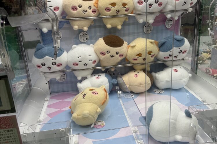 導入日チェック『ちいかわ』しーぷわぬいぐるみ①はゲームセンターでも再人気稼働中でした!